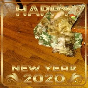 Meet your Posher, Deborah